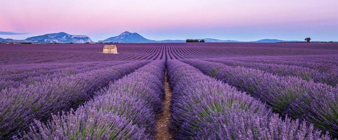 B&B La Douloire Pernes-les-Fontaines Dış mekan fotoğraf